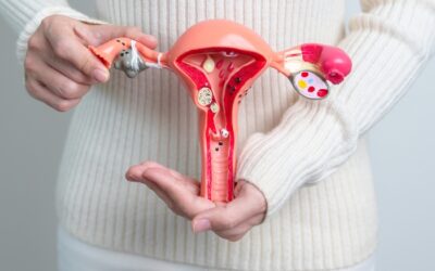 Fibroids in Uterus Symptoms: What Every Woman Should Know