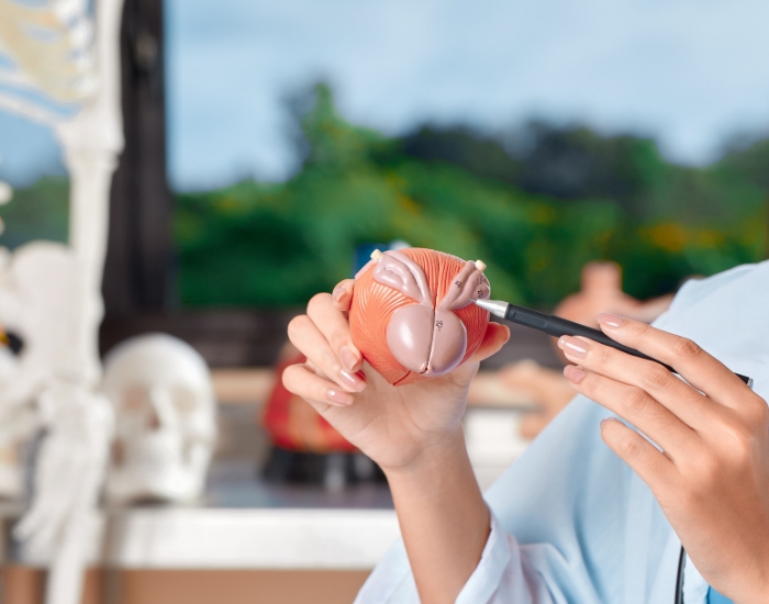 Overactive Bladder Treatment for Women in Katy