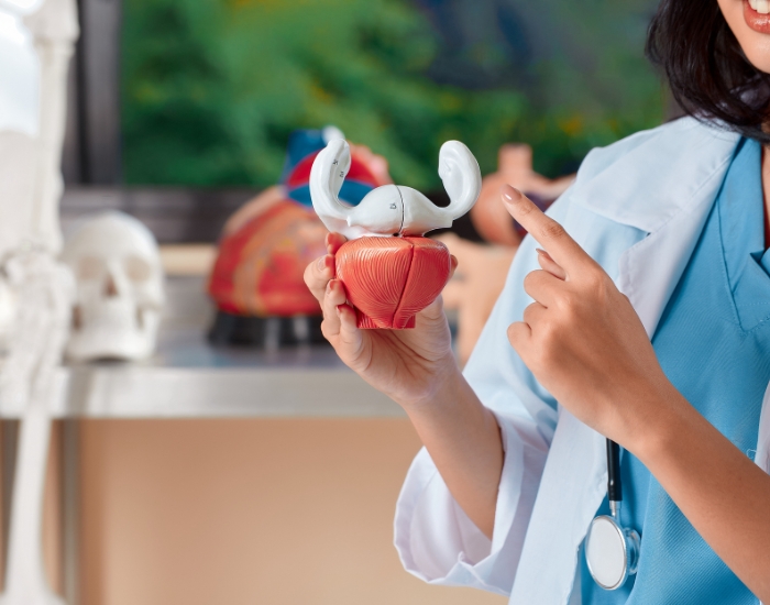 Overactive Bladder vs UTI Katy TX | Symptoms & Treatment